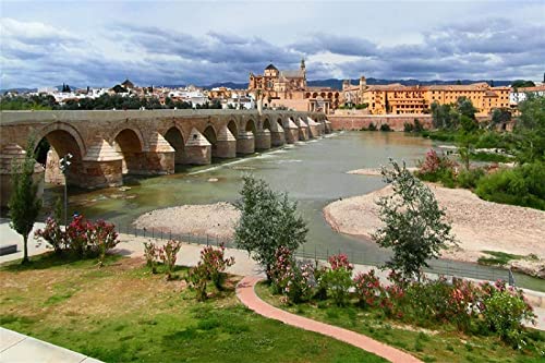 Rompecabezas para Adultos De 1000 Piezas para Adultos, Córdoba, Andalucía, España Decoración De Montaje De Madera para El Regalo del Juego De Juguetes para El Hogar