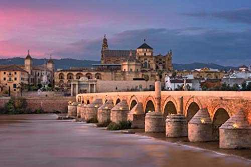 SHILIHOME España Ciudad Cordoba Casas Edificios Puente río Pintura por números DIY único