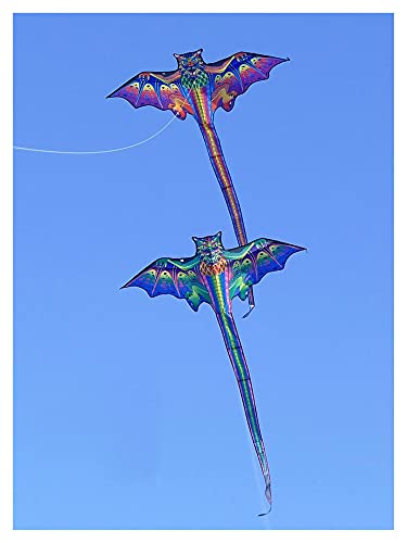 Srfghjs Cometa 3D Dragon Kite para niños Kite Nylon Toys Flying Eagle Kites Niños Kite Line Weifang Bird Kite Fábrica al por Mayor Juguetes de los niños (Color : Kite with 100m Line)