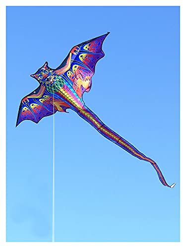 Srfghjs Cometa 3D Dragon Kite para niños Kite Nylon Toys Flying Eagle Kites Niños Kite Line Weifang Bird Kite Fábrica al por Mayor Juguetes de los niños (Color : Kite with 100m Line)