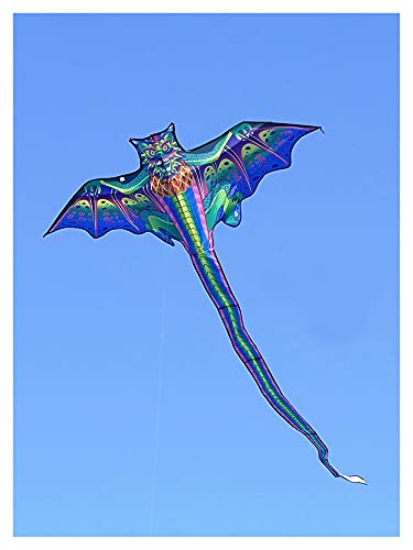 Srfghjs Cometa 3D Dragon Kite para niños Kite Nylon Toys Flying Eagle Kites Niños Kite Line Weifang Bird Kite Fábrica al por Mayor Juguetes de los niños (Color : Kite with 100m Line)