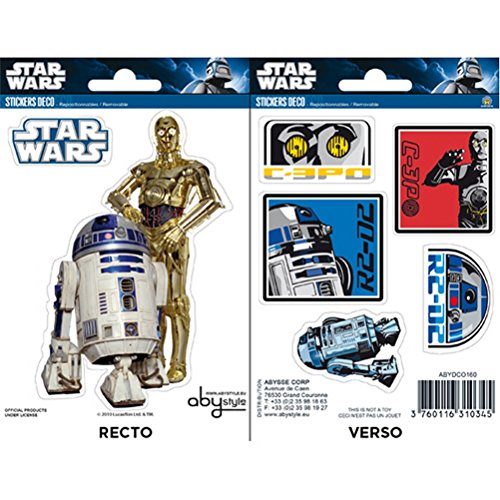 STAR WARS R2D2 and 6PO Stickers