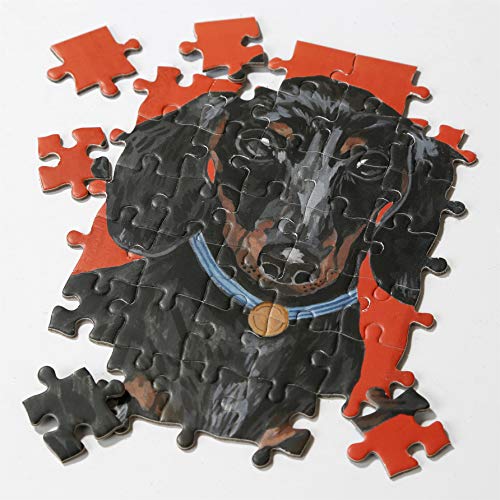 Talking Tables-De Doble Cara y póster Dachshund Rojo de 100 Piezas | Mascotas ilustradas, Animales, Perros Salchicha | para niños, Adultos, cumpleaños, Color Puzzle (PUZZ-Dog-DACH)