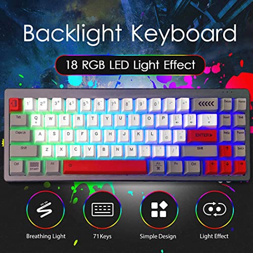 tengod Teclado para gaming MEK6 de 71 teclas con carcasa de aluminio CNC, 65% de disposición estadounidense con cable, retroiluminación LED RGB para Windows PC Gaming (interruptor rojo)