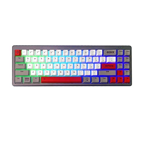 tengod Teclado para gaming MEK6 de 71 teclas con carcasa de aluminio CNC, 65% de disposición estadounidense con cable, retroiluminación LED RGB para Windows PC Gaming (interruptor rojo)