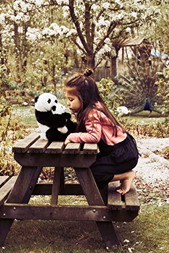 Toptoy 16813 - WWF Panda con Baby Mama [importado de Alemania]