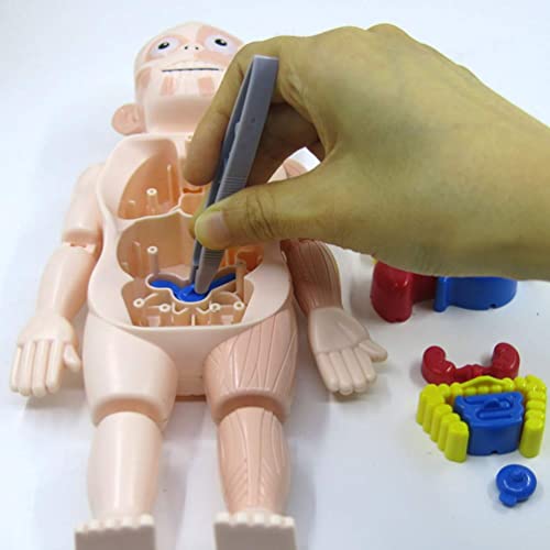 Toyvian 1 Pieza de Cuerpo Humano Modelo Orágans de Plástico Modelo de Cuerpo Humano Simulación Maniquí DIY Ensamblaje Maniquí Modelo para Niños ( Colores Surtidos )