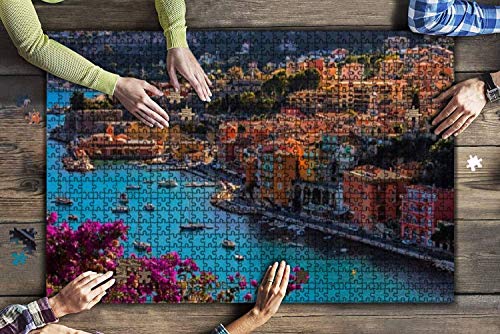 villefranche sur mer Colorful seas and Pictures Rompecabezas grandes de 1000 piezas para adultos Juguete educativo para adultos Niños Juego de rompecabezas grande Juguetes Gift-PUZZLE9