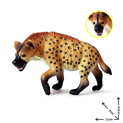 XIAOKEKE Ciencia Realista Modelo De Plástico Animal Figura Hiena Africana Estatuilla Niños Niños Juguete Educativo Decoración Coleccionables Niños Cuentos Cuenta Objetos Durable Y Útil