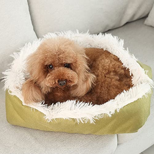 YHSW Cama para Perros Dos en uno más Nido Grueso de Terciopelo Cestas Lavables Mascotas Perrera ortopédica cálida Sofá Cama Suave Gatos Cachorros medianos （50cm * 60cm）