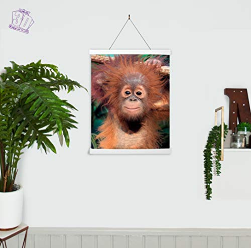 3D LiveLife Lenticular Cuadros Decoración - Orangután de Deluxebase. Poster 3D sin marco de monos. Obra de arte original con licencia del reconocido artista, David Penfound