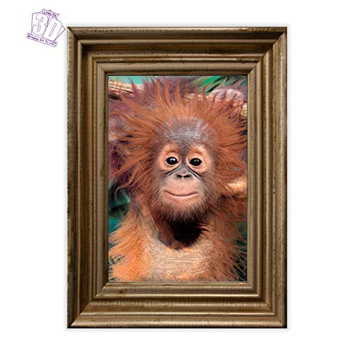 3D LiveLife Lenticular Cuadros Decoración - Orangután de Deluxebase. Poster 3D sin marco de monos. Obra de arte original con licencia del reconocido artista, David Penfound