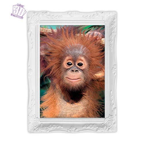 3D LiveLife Lenticular Cuadros Decoración - Orangután de Deluxebase. Poster 3D sin marco de monos. Obra de arte original con licencia del reconocido artista, David Penfound