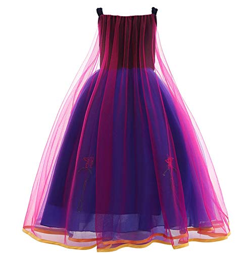 AIYIMEI Disfraz de Anna para Niña Vestido de Princesa Reina de Nieve Traje de Cumpleaños Fiesta Cumpleaños Halloween Carnaval Cosplay Navidad Vestido - Regalo de Cumpleaños para Ninas