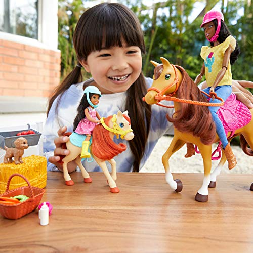 Barbie Familia, Juego de amistades de los Animales, muñeca marrón y minimuñecas Chelsea, Caballo Pony, Figura de Cachorro y Accesorios, Juguete para niños, FXH16