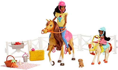 Barbie Familia, Juego de amistades de los Animales, muñeca marrón y minimuñecas Chelsea, Caballo Pony, Figura de Cachorro y Accesorios, Juguete para niños, FXH16