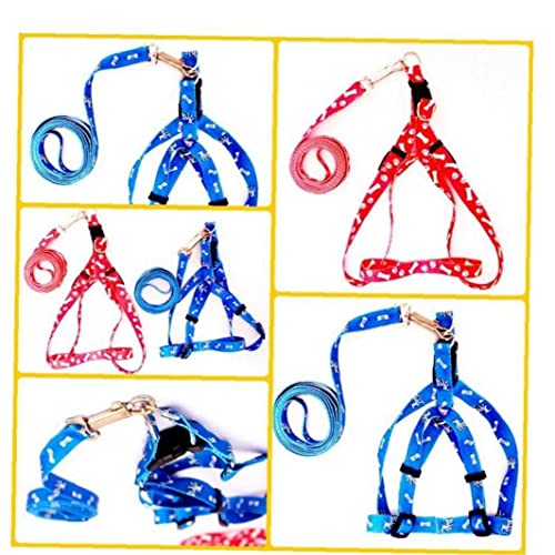 Bemvp Correas De Cachorros Lead Nylon Dog Lleve Durando Duradero Nylon Training Leash para Perros Pequeños Y Medianos