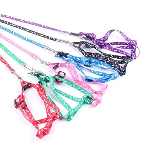 Bemvp Correas De Cachorros Lead Nylon Dog Lleve Durando Duradero Nylon Training Leash para Perros Pequeños Y Medianos