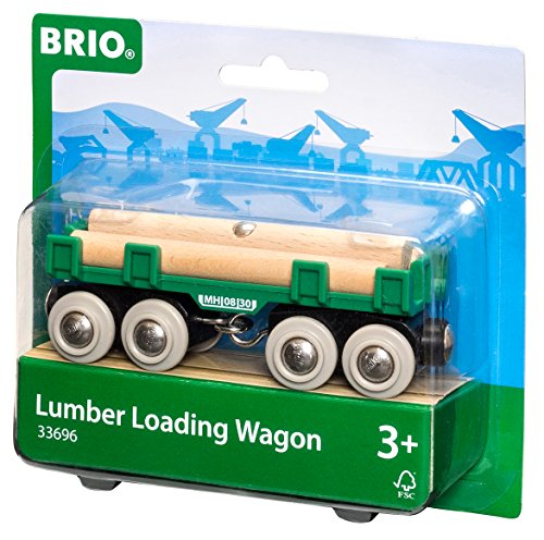 BRIO- Juego Primera Edad (33696)