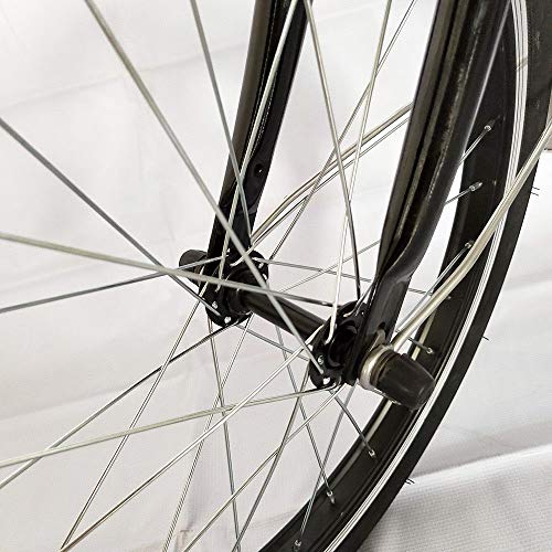 BTdahong Triciclo para Adultos, Bicicleta de 3 Ruedas de 20", Triciclo con Cesta