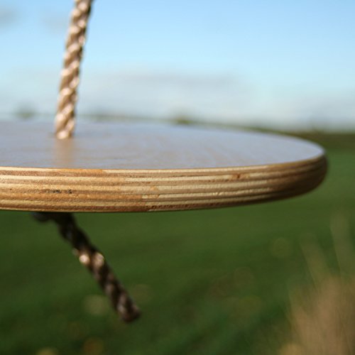 Columpio Grande de Disco de Madera Redondo con Cuerdas Ajustables