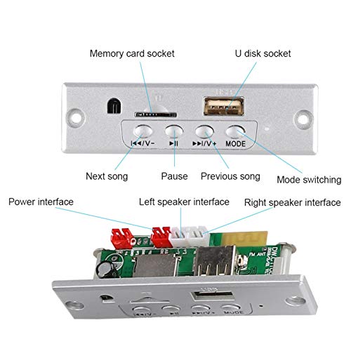 DAUERHAFT Altavoz Kit de Bricolaje Altavoz Profesional 3W, con Mando a Distancia, Amplificador de Potencia(Transparent)