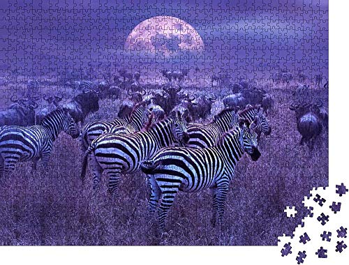 Diy Art Puzzle Adultos Rompecabezas Cebras en la sabana africana.Paisaje lunar nocturno en África.Fauna de África Clásico Puzzle Decoración -1000 piezas