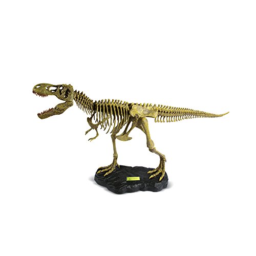 Dr. Steve Hunters CL1647K Tyrannosaurus Rex - Palo.