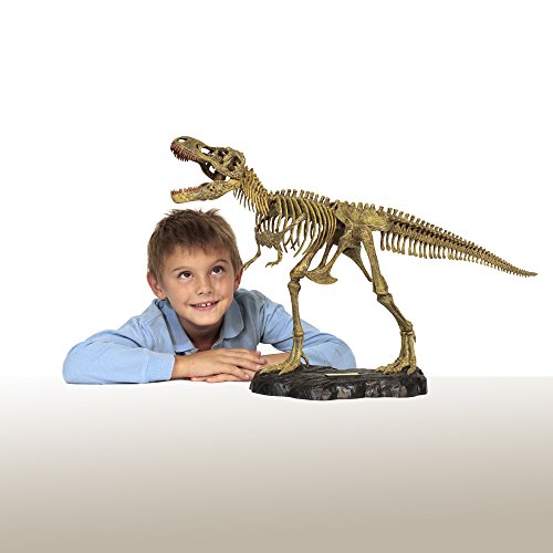 Dr. Steve Hunters CL1647K Tyrannosaurus Rex - Palo.