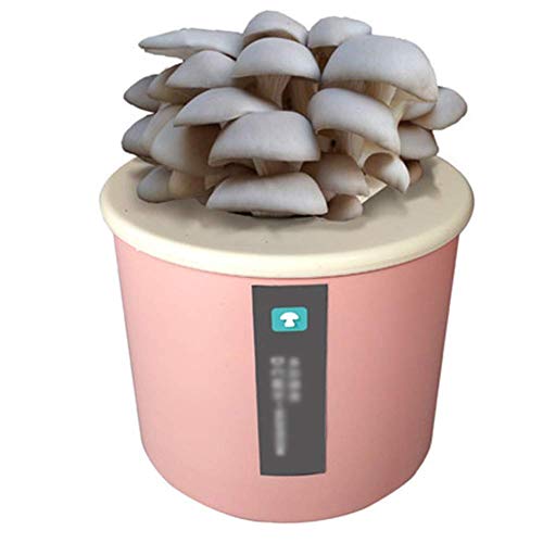 DSHUJC Grow Your Own Fresh Mushroom Kit, para niños/Principiantes, Mini Oyster Mushrooms Spores Mycelium Spawn Bonsai, Aproximadamente 15-25 días, Gran Regalo Rosa-P