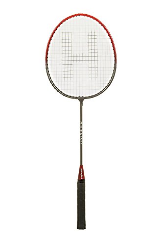 FiNeWaY Juego de 4 jugadores de badminton con bastones de raquetas y red para exteriores con bolsa de transporte