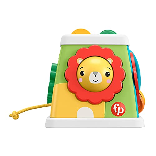 Fisher-Price Cubo de actividades con motivo de animales, juguete para bebés +6 meses (Mattel GYM44)