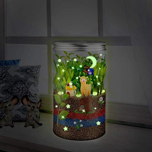 Grow and Glow Kit de Cultivo de Plantas de terrario para niños Proyectos educativos de Bricolaje para niños y niñas