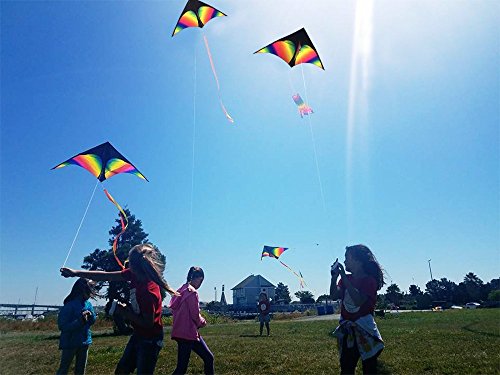 HONBO Rainbow Delta Kites - Cometa para adultos para principiantes para niños - Línea de kit y giratorio incluido- Bueno para juegos al aire libre y verano Los juguetes de playa para niños