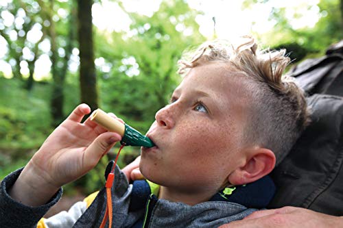 Juego de detective de la naturaleza de Hape, juego de detectives de bambú y plástico vegetal, juego para explorar la naturaleza, juguete para exterior