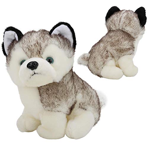 Juguete de peluche Husky, muñeco de peluche Husky de peluche Juguete de peluche para perro Husky regalo ideal para cumpleaños de niños Navidad y decoración del hogar(28cm)