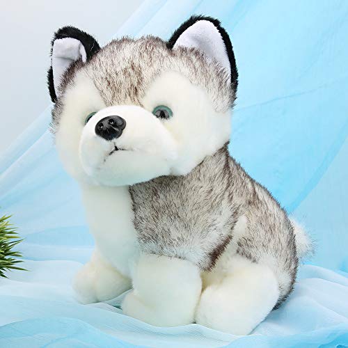 Juguete de peluche Husky, muñeco de peluche Husky de peluche Juguete de peluche para perro Husky regalo ideal para cumpleaños de niños Navidad y decoración del hogar(28cm)