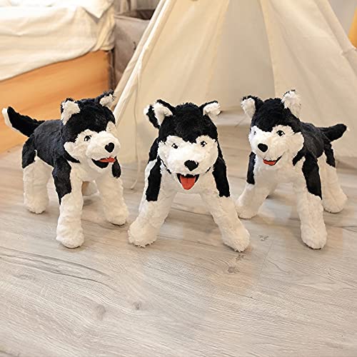 LYNLYN Juguetes Blandos 30 cm simulación Lindo Husky Peluche Juguete molusco Peluches Husky плюшевые игрушки niña Mascota Almohada Almohada Liyannan (Color : 1, Height : 30cm)