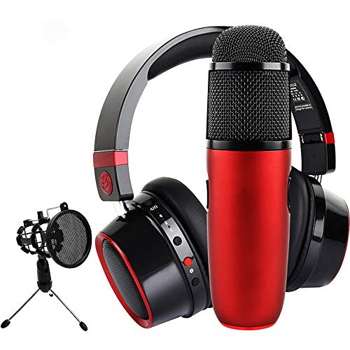 Micrófono Altavoz for el modo dual multimedia universal Canto Conjunto móvil del ordenador con micrófono de alta fidelidad auriculares Bluetooth externo Portátil ( Color : Red , Size : One size )