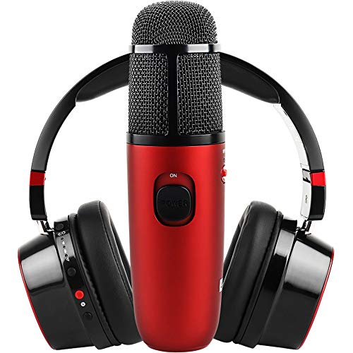 Micrófono Altavoz for el modo dual multimedia universal Canto Conjunto móvil del ordenador con micrófono de alta fidelidad auriculares Bluetooth externo Portátil ( Color : Red , Size : One size )