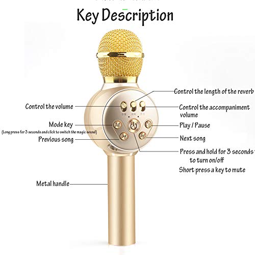 Micrófono Xinjin micrófono estéreo inalámbrico KTV Karaoke grabación de canciones dinámicas iluminación capacitiva Endurance portátil iOS/Android ordenador TV fiesta para niños