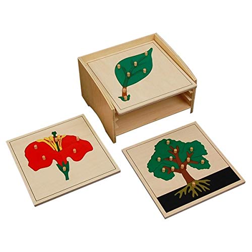 Montessori-Store - Armario completo de 3 puzles botánicos de alta gama