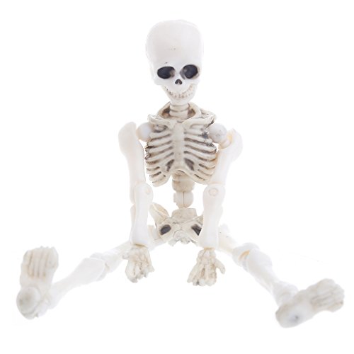 Movible Mr. Bones Esqueleto Modelo Humano Cráneo Cuerpo Completo Mini Figura Juguete Halloween