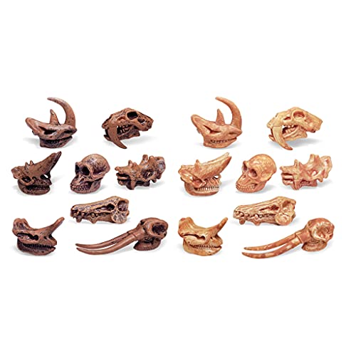 MYhose Juguetes de Dinosaurio Paquete de 8 Juguetes de Calavera de Dinosaurio Figuras realistas Juguetes Modelo para niños pequeños Decoración Juric, para niños Oficina Decoraciones para el hogar A