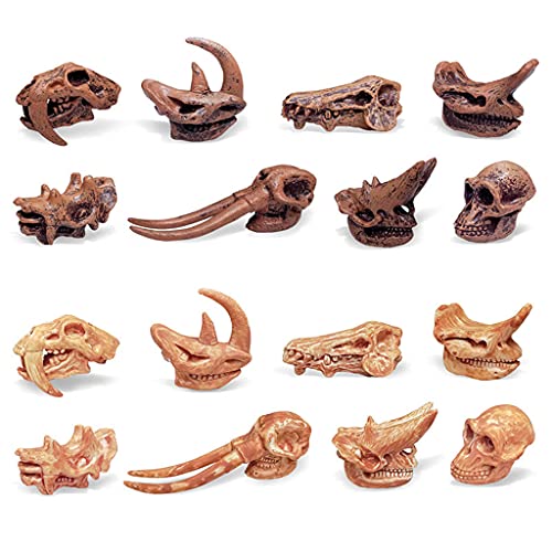 MYhose Juguetes de Dinosaurio Paquete de 8 Juguetes de Calavera de Dinosaurio Figuras realistas Juguetes Modelo para niños pequeños Decoración Juric, para niños Oficina Decoraciones para el hogar A