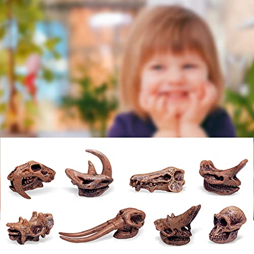 MYhose Juguetes de Dinosaurio Paquete de 8 Juguetes de Calavera de Dinosaurio Figuras realistas Juguetes Modelo para niños pequeños Decoración Juric, para niños Oficina Decoraciones para el hogar A