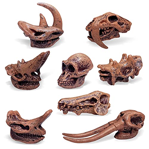 MYhose Juguetes de Dinosaurio Paquete de 8 Juguetes de Calavera de Dinosaurio Figuras realistas Juguetes Modelo para niños pequeños Decoración Juric, para niños Oficina Decoraciones para el hogar A