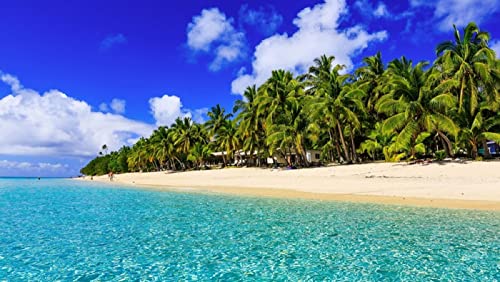 NA Adult Jigsaw Puzzle Beaches Oceans Palm Trees Tropics Nature 500 Pieces Puzzle Jigsaw For Kid Children Games Jigsaws