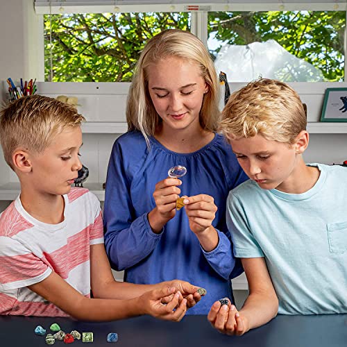 National Geographic - Kit de Descubrimiento de Rocas y minerales, 15 Rocas y minerales para coleccionar y observar, Caja de Almacenamiento incluida, Juego científico y Educativo, Stem