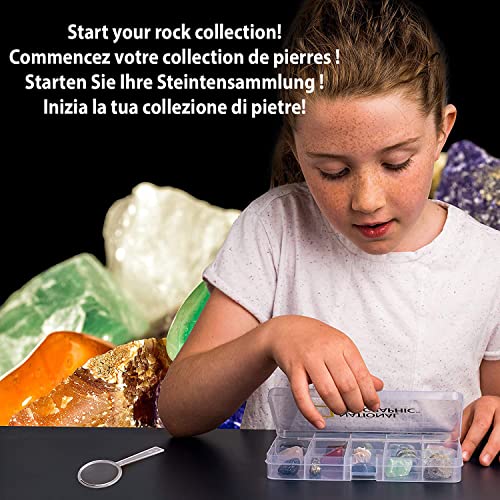 National Geographic - Kit de Descubrimiento de Rocas y minerales, 15 Rocas y minerales para coleccionar y observar, Caja de Almacenamiento incluida, Juego científico y Educativo, Stem